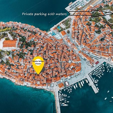Studio Yellow Flower Rovinj Ngoại thất bức ảnh