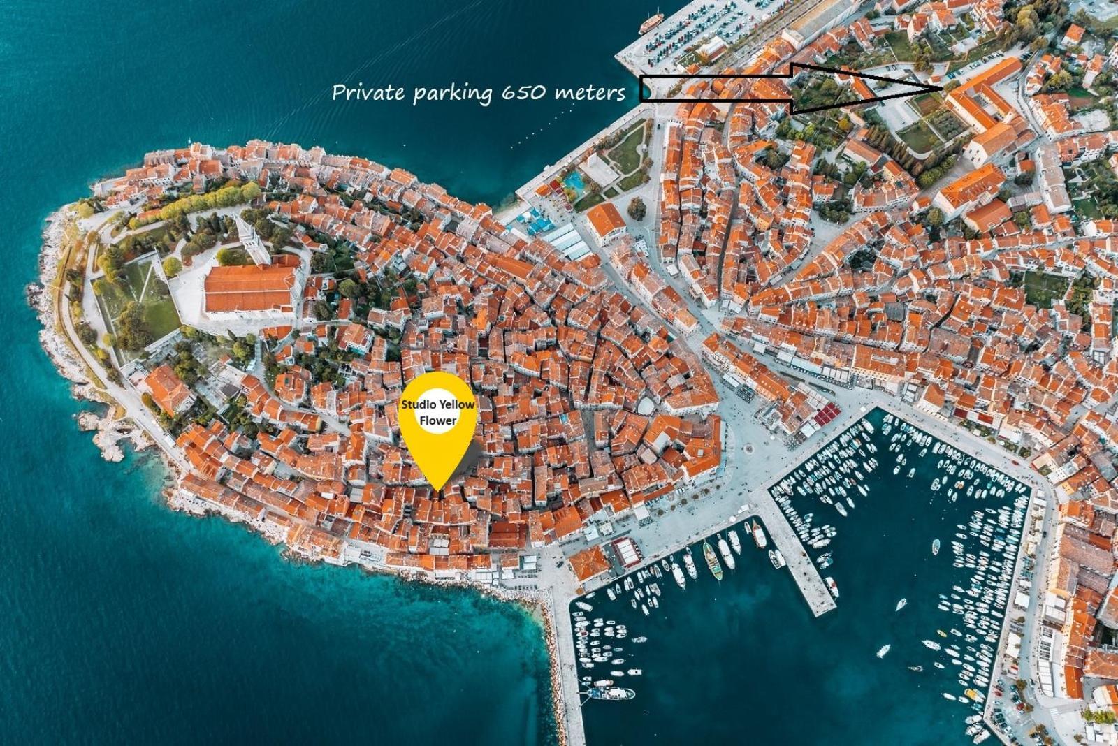 Studio Yellow Flower Rovinj Ngoại thất bức ảnh