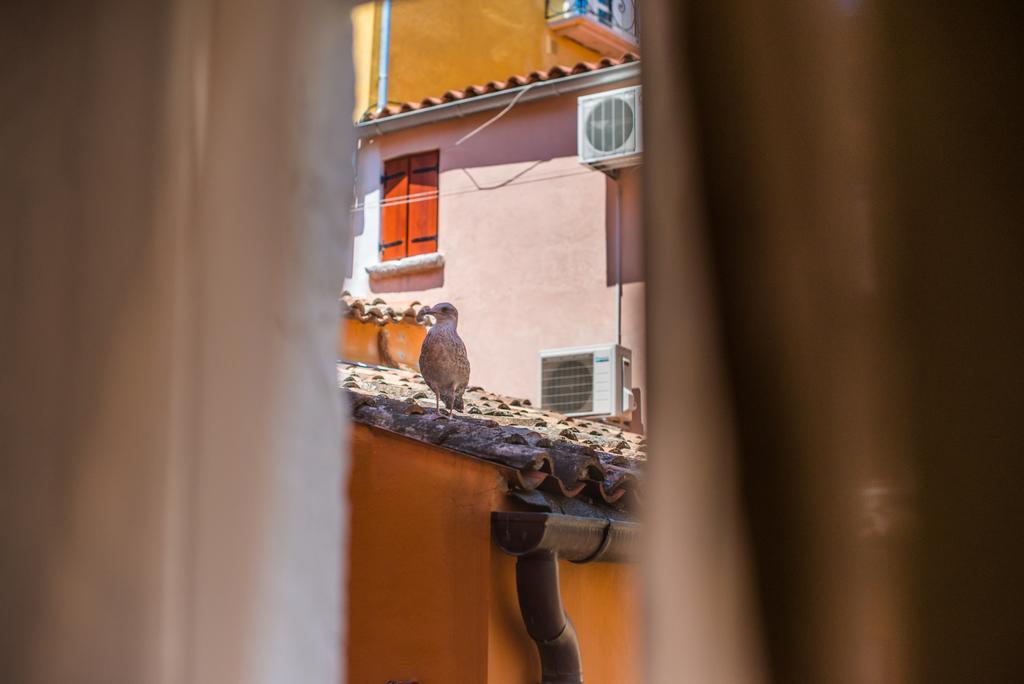 Studio Yellow Flower Rovinj Ngoại thất bức ảnh